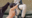 2019-09-23 23:08の投稿