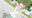 2023-07-31 08:11の投稿