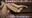 2023-08-09 21:17の投稿
