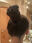 2023-08-18 20:00の投稿