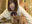 2023-09-05 12:00の投稿
