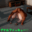 2023-09-16 00:00の投稿