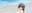 2023-09-11 20:56の投稿