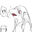 2019-10-16 23:37の投稿