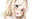 2019-10-17 02:23の投稿