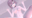 2023-09-17 19:03の投稿