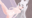 2023-09-17 19:29の投稿