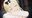 2019-10-20 18:14の投稿