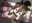 2019-10-21 05:08の投稿