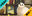 2019-10-22 21:00の投稿
