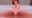 2023-10-14 20:00の投稿