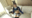 2023-10-07 07:00の投稿