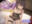 2023-10-06 20:00の投稿
