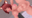 2023-10-21 20:00の投稿