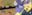 2019-10-31 21:17の投稿