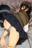 2019-11-03 00:24の投稿
