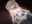 2019-11-05 21:52の投稿