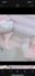 2019-11-09 20:00の投稿