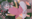 2023-11-05 00:00の投稿