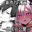 2023-11-09 19:00の投稿