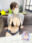 2023-11-14 00:50の投稿