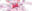 2023-11-19 11:47の投稿