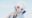 2019-11-16 00:37の投稿