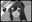 2023-11-21 01:03の投稿