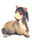 2019-11-18 17:00の投稿