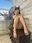 2024-02-01 10:00の投稿