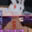 2023-12-05 00:00の投稿