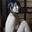 2023-12-09 19:00の投稿