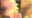 2023-12-06 21:00の投稿