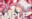 2019-11-24 14:59の投稿