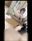 2019-11-25 12:08の投稿