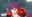 2023-12-17 05:00の投稿