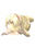 2019-11-27 18:43の投稿