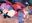 2023-12-19 00:00の投稿
