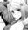 2019-11-28 08:43の投稿