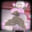 2023-12-19 00:00の投稿