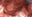 2019-11-29 23:44の投稿