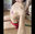 2019-11-30 22:28の投稿