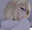 2019-12-01 03:25の投稿