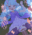2024-01-02 00:00の投稿