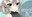 2019-12-04 01:20の投稿