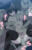 2024-01-11 00:00の投稿