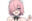 2024-01-13 00:00の投稿