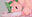 2024-01-13 19:00の投稿