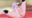 2024-01-14 00:14の投稿