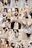 2024-01-16 23:43の投稿